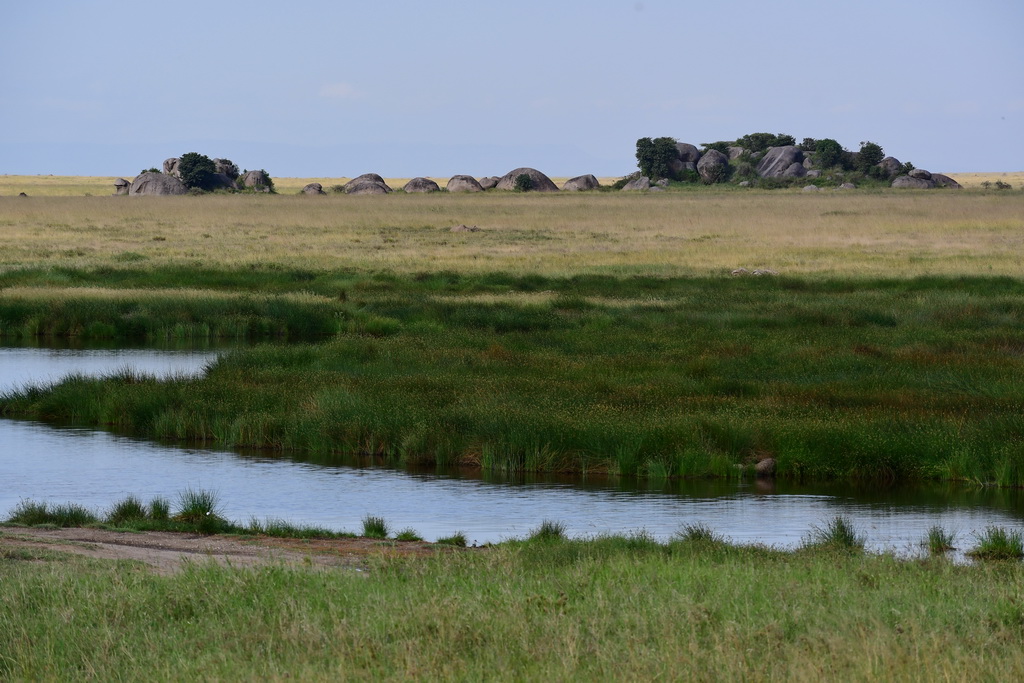 Central Serengeti